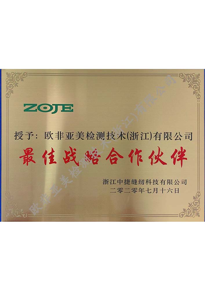 最佳戰(zhàn)略合作伙伴-浙江中捷縫紉科技有限公司